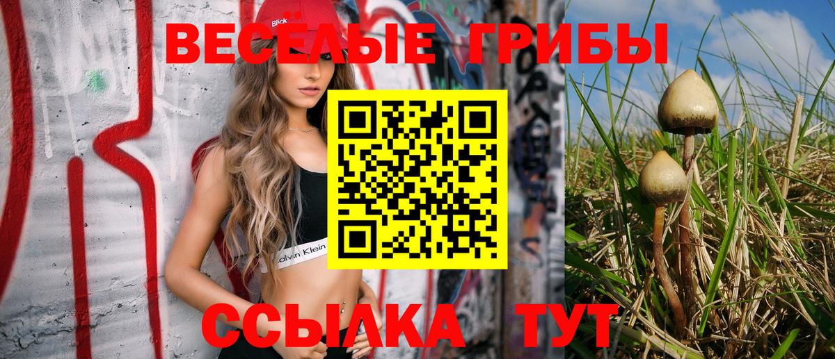 Галлюциногенные грибы Psilocybine cubensis  Псилоцибиновые грибы MAGIC MUSHROOMS  Вход с VPN  Апатиты 
